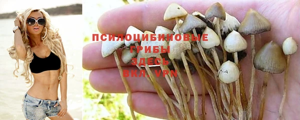 не бодяженный Армянск