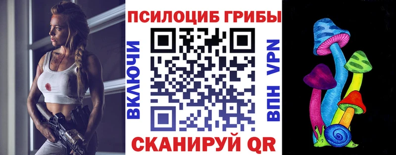 ссылка на мегу ссылка  Ртищево  Галлюциногенные грибы Psilocybe  дарнет шоп 